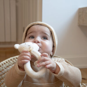 Plush Rattle Toy