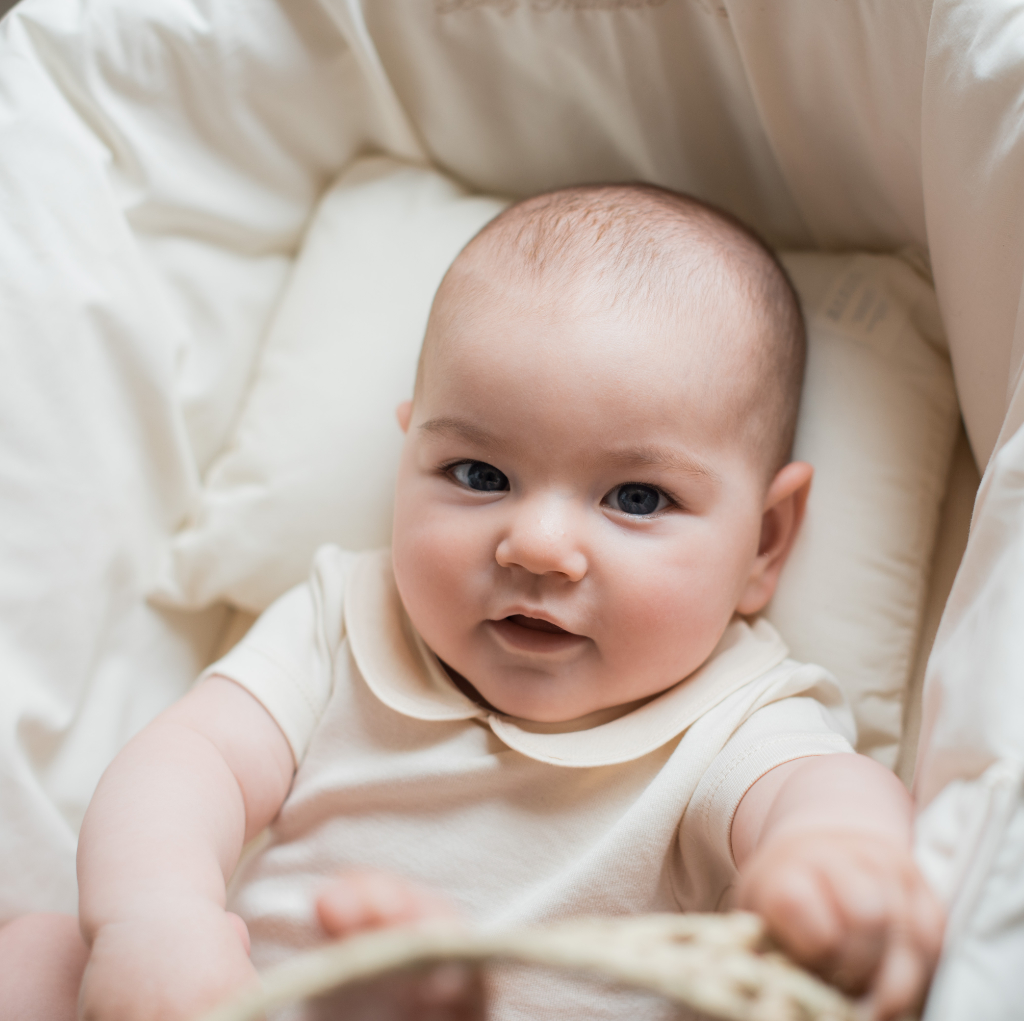 Shortsleeved Bodysuit 100 Organic Bodysuits NaturaPura