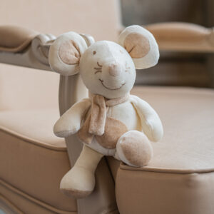Kleine Muis